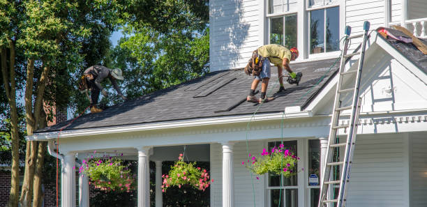 Best Roof Gutter Cleaning  in Pikesville, MD